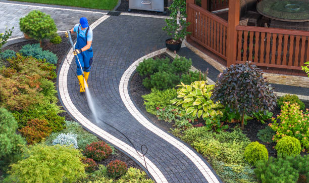 Best Roof Pressure Washing  in Thornwood, NY